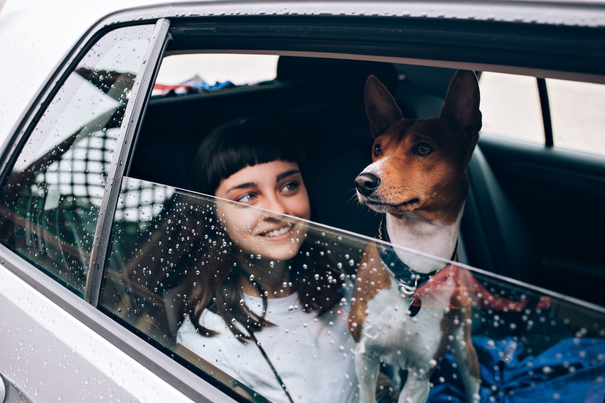 How to Keep Your Pets Safe in the Car